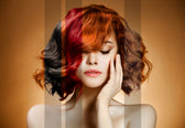 
            
                Load image into Gallery viewer, Hair Colouring - Basic Course
            
        